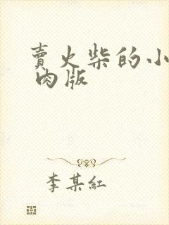 卖火柴的小男孩 肉版