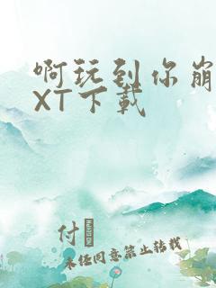 啊玩到你崩溃TXT下载