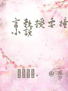 言教授要撞坏了小说