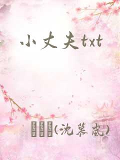 小丈夫txt