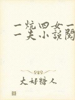 一炕四女一共侍一夫小说阅读