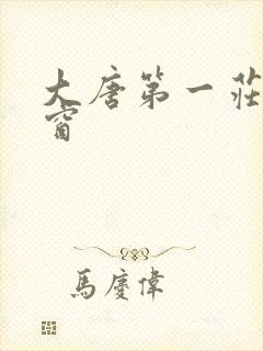 大唐第一庄无弹窗