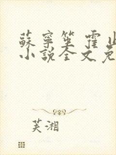 苏宁笙 霍止行小说全文免费阅读