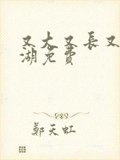 又大又长又租高湖免费