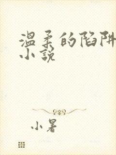 温柔的陷阱周芸小说