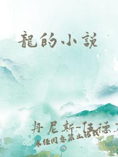 龙的小说