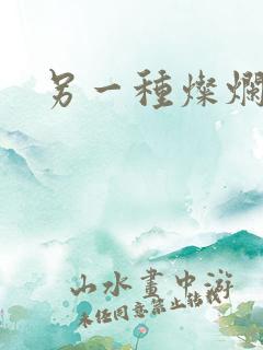 另一种灿烂生活