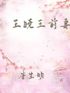 王晓玉前妻