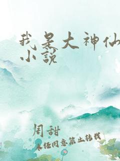 我是大神仙时江小说