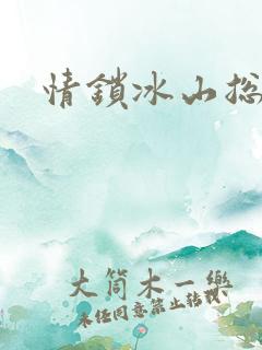 情锁冰山总裁