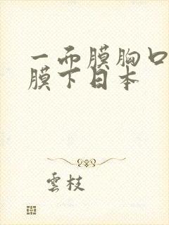 一面膜胸口一面膜下日本