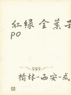 红绿 金叶子 po