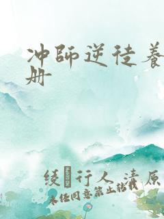 冲师逆徒养成手册