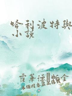 哈利波特与密室小说