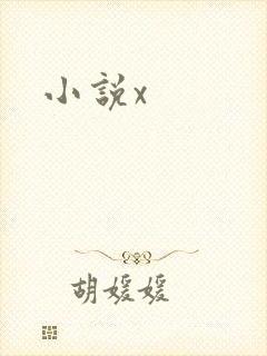 小说x