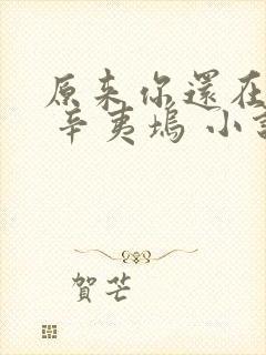 原来你还在这里 辛夷坞 小说