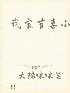 我家有喜小说