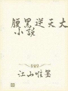 腹黑逆天大小姐 小说