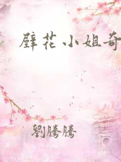 壁花小姐奇遇记