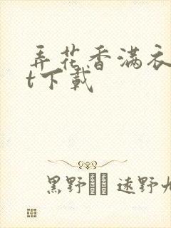 弄花香满衣txt下载