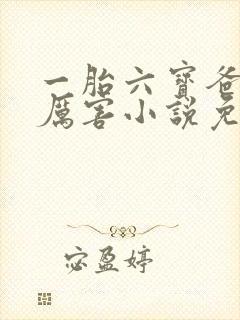 一胎六宝爸比好厉害小说免费阅读