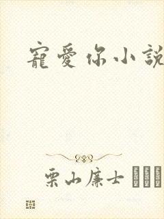 宠爱你小说