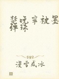 楚晚宁被墨燃塞弹珠