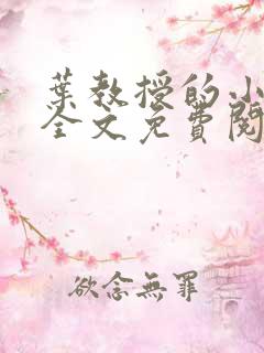 叶教授的小黏糖全文免费阅读