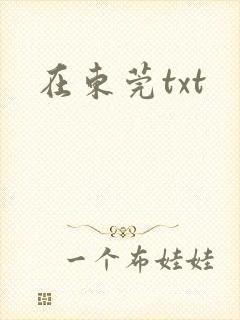 在东莞txt