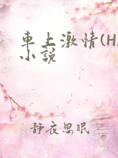 车上激情(H)小说