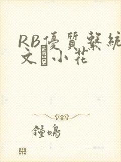 RB优质系统全文寀小花