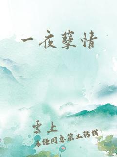 一夜孽情