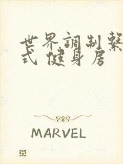 世界调制系统模式 健身房