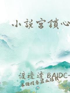 小说宫锁心玉