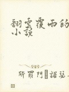 翻云覆雨的秘密小说