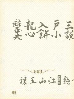 双龙入户三人行夹心饼小说