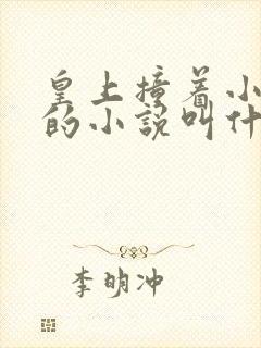 皇上撞着小公主的小说叫什么