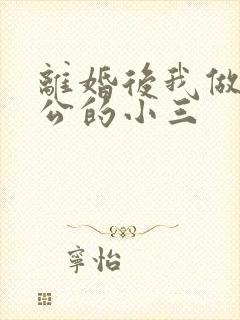 离婚后我做了老公的小三