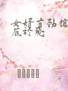 女婿有劲枪枪到底于飞