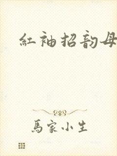 红袖招韵母攻略