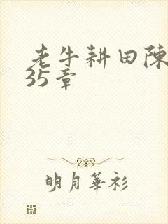 老牛耕田陈雪435章