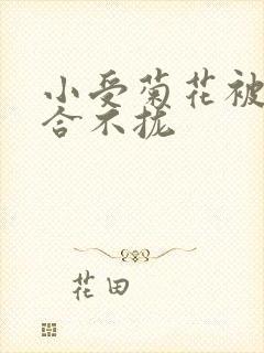 小受菊花被双龙合不拢