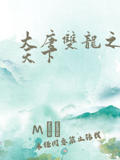 大唐双龙之无敌天下