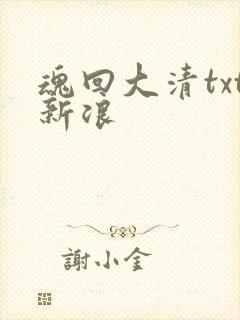 魂回大清txt新浪