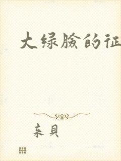 大绿脸的征途