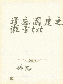 遗忘国度之神秘徽章txt