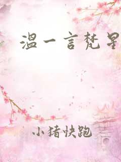 温一言梵星小说