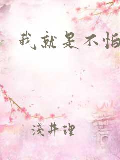 我就是不怕小说