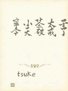 宁小茶太子殿下今天破戒了吗免费阅读