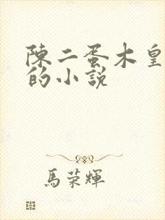 陈二蛋木皇真经的小说